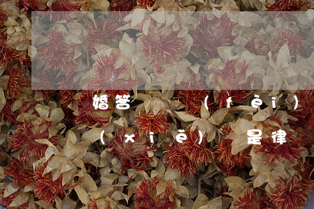 離婚答辯狀費(fèi)用(離婚答辯狀自己寫(xiě)還是律師寫(xiě))