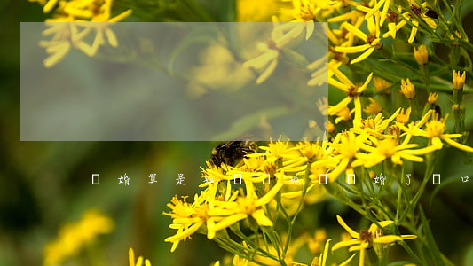 離婚算是孤兒嗎(孤兒離婚了戶口怎么辦)