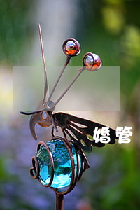離婚管轄權(quán)