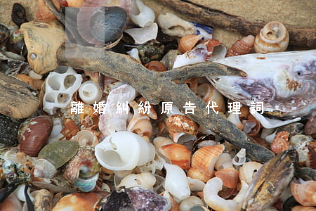 離婚糾紛原告代理詞