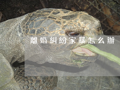 離婚糾紛家暴怎么辦