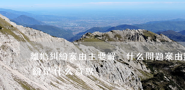 離婚糾紛案由主要解決什么問題(案由離婚糾紛是什么意思)