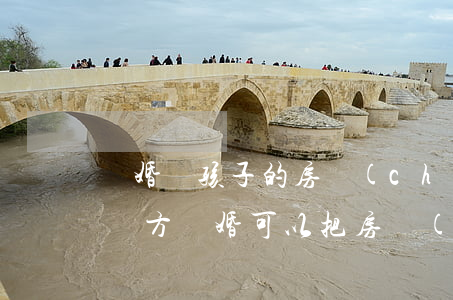 離婚給孩子的房產(chǎn)可以撤回嗎(雙方離婚可以把房產(chǎn)留給孩子嗎)