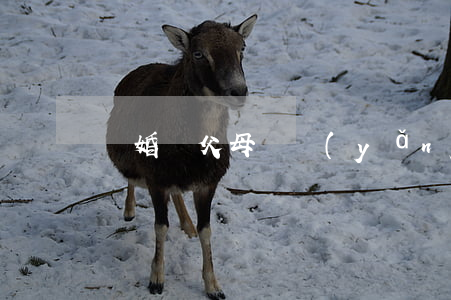 離婚給父母贍養(yǎng)費標準