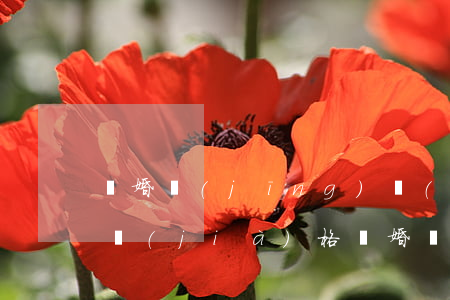 離婚經(jīng)濟(jì)分割請律師價(jià)格(離婚財(cái)產(chǎn)分割律師費(fèi)多少錢)