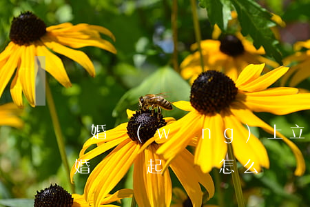 離婚網(wǎng)上立案起訴狀怎么寫(離婚訴訟起訴狀怎么寫)