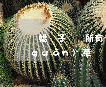 離婚繼子歸誰所有(離婚后和繼子女還有關(guān)系嗎)