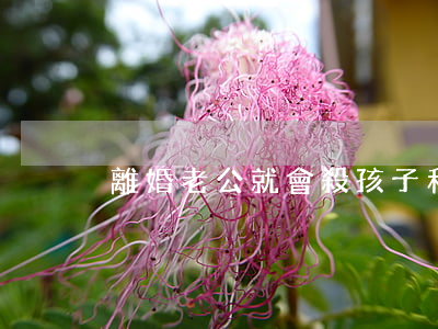 離婚老公就會殺孩子和我怎么辦