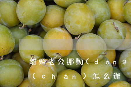 離婚老公挪動(dòng)財(cái)產(chǎn)怎么辦