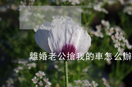 離婚老公搶我的車怎么辦