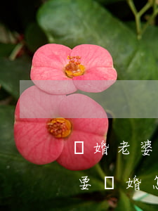 離婚老婆又有了喜歡的人(老婆喜歡上別人了要離婚怎么辦)