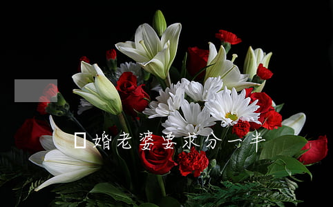 離婚老婆要求分一半