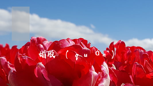離婚股權(quán)糾紛