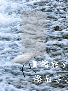 離婚能分割父母房產(chǎn)嗎(父母離婚后子女可以要求分割房產(chǎn)嗎)