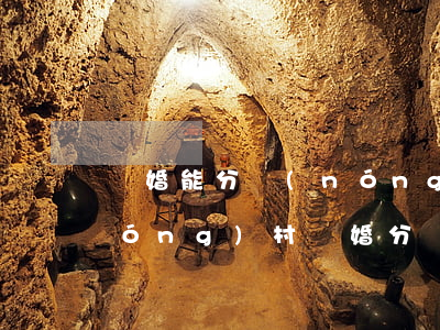 離婚能分農(nóng)村宅基地嗎(農(nóng)村離婚分戶后可以申請(qǐng)宅基地嗎)