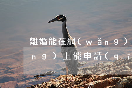 離婚能在網(wǎng)上登記嗎(網(wǎng)上能申請(qǐng)離婚嗎?)