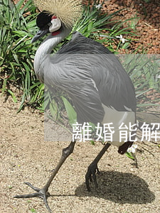 離婚能解決問(wèn)題嗎