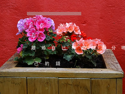 離婚自己存的錢要分嗎(怎樣離婚才能不分自己的錢)