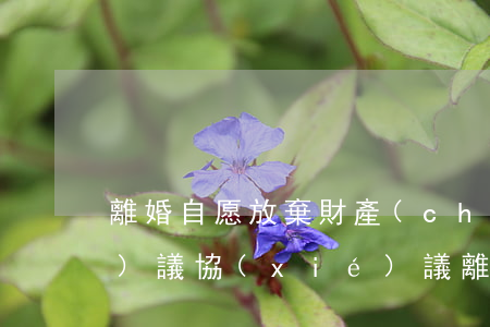 離婚自愿放棄財產(chǎn)協(xié)議(協(xié)議離婚放棄所有財產(chǎn)怎么寫才有效)
