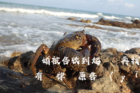 離婚被告收到起訴狀再找律師嗎(起訴離婚沒有請律師原告應(yīng)該有哪些準(zhǔn)備)