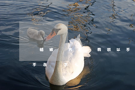 離婚被對方起訴我可以不去么(離婚被起訴了不去會怎么樣)