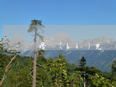 離婚補(bǔ)充協(xié)議模板