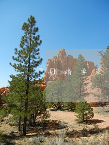 離婚要女方戶口本嗎