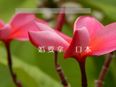 離婚要拿戶口本嗎