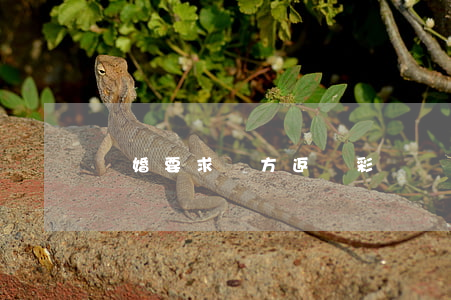 離婚要求對方返還彩禮(離婚要回彩禮)