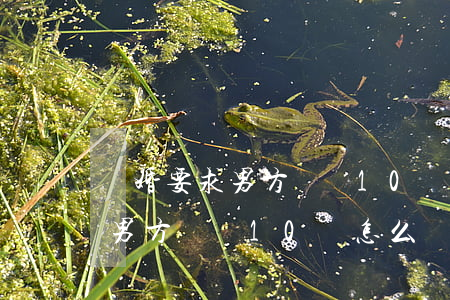 離婚要求男方補償10萬元過分嗎(離婚要求男方補償10萬怎么寫)