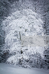 離婚要求財(cái)產(chǎn)保全怎么辦