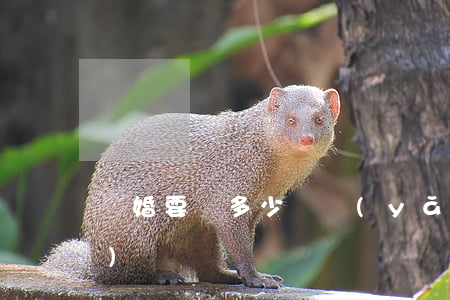 離婚要給多少撫養(yǎng)費(fèi)