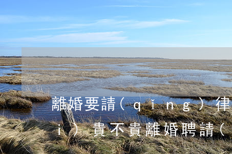 離婚要請(qǐng)律師嗎律師費(fèi)貴不貴(離婚聘請(qǐng)律師怎樣收費(fèi))