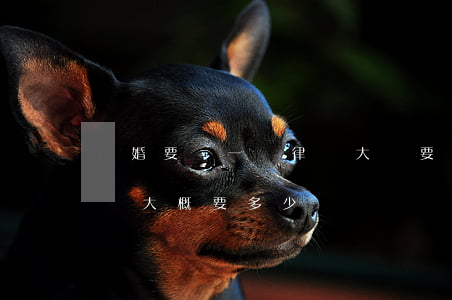 離婚要請一個律師大約要多少錢(離婚請個律師大概要多少錢)