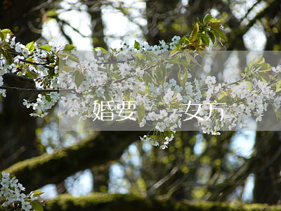 離婚要賠償女方嗎