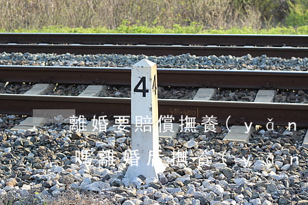 離婚要賠償撫養(yǎng)費(fèi)嗎(離婚后撫養(yǎng)費(fèi)按照什么標(biāo)準(zhǔn))
