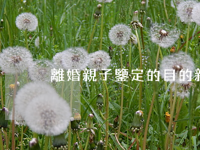 離婚親子鑒定的目的(親子鑒定 離婚)