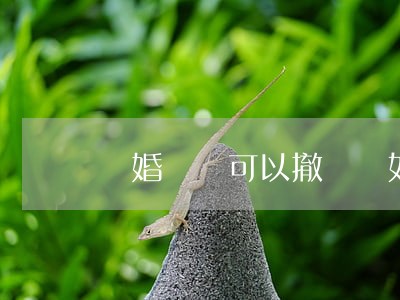 離婚親屬可以撤訴嗎(如何撤訴離婚)