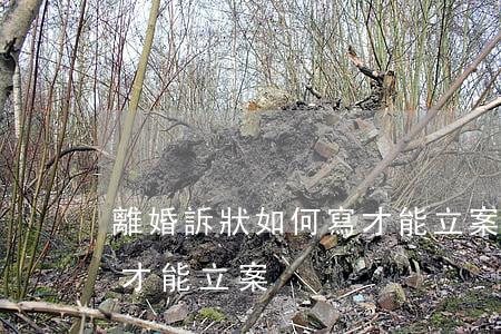 離婚訴狀如何寫才能立案,離婚起訴書怎么寫才能立案 離婚訴狀如何寫才能立案,離婚起訴書怎么寫才能立案