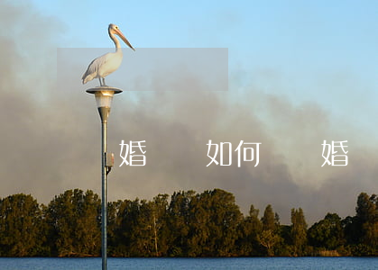 離婚訴狀如何寫(離婚訴訟起訴狀怎么寫)