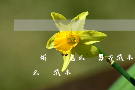 離婚訴狀怎么寫 男方范本(離婚起訴狀男方怎么寫范本)