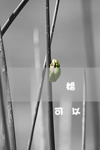 離婚訴狀自己手寫可以嗎(離婚訴狀自己手寫可以嗎)