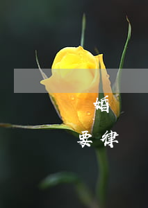 離婚訴訟一定要請律師嗎(法院起訴離婚不需要律師可以嗎)
