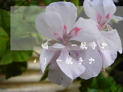 離婚訴訟一般多少錢(離婚官司訴訟費(fèi)一般多少錢)
