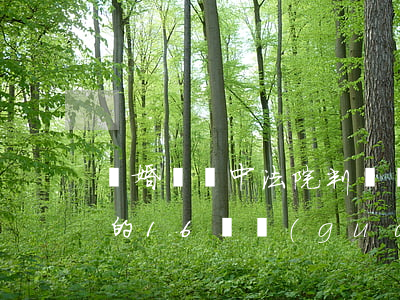 離婚訴訟中，法院判決準(zhǔn)予離婚的16個關(guān)鍵點(diǎn)（附相關(guān)法律解讀）