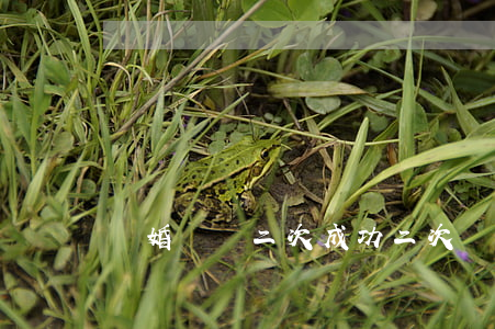 離婚訴訟二次成功(二次訴訟離婚能判離嗎)