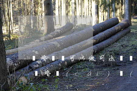 離婚訴訟可以做司法凍結(jié)嗎(訴訟離婚財(cái)產(chǎn)凍結(jié)什么時候可以解凍)