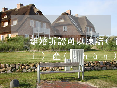 離婚訴訟可以凍結(jié)對方財(cái)產(chǎn)嗎(離婚會凍結(jié)財(cái)產(chǎn)嗎?)