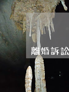 離婚訴訟可以委托他人代理嗎