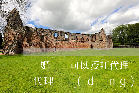 離婚訴訟可以委托代理嗎(離婚訴訟可以委托代理嗎,當(dāng)事人不出庭)